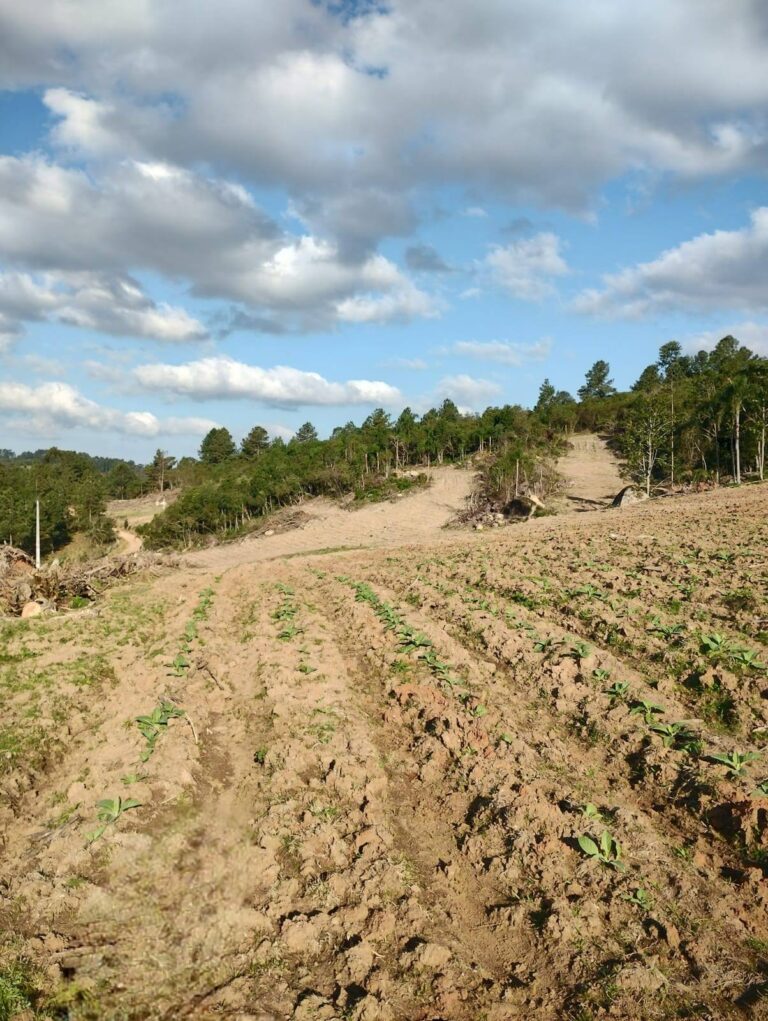 Investimento área rural 40 hectares