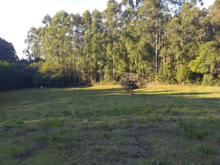 Sítio apenas 4 km da Vila Aurora